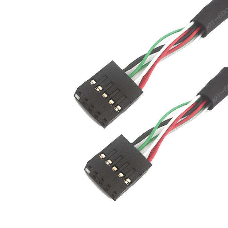 2.54mm Δύο USB βιομηχανικό καλώδιο Bb προς Sbc 10 POS MOLEX 22552101 καλώδιο