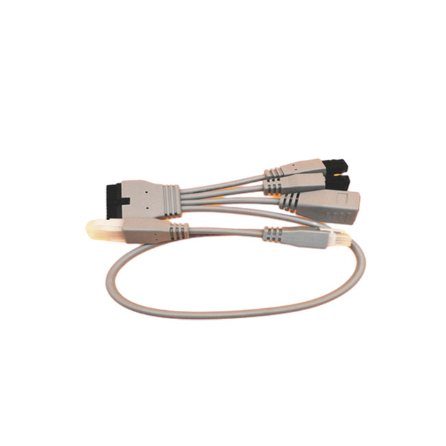 Molex43025-2400 3.0mm συνελεύσεις καλωδίων συνήθειας στην υποδοχή RJ45 θηλυκό Molex 4.2mm καρφίτσα 6